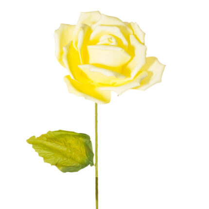 ROSA X1 PETALO VUELTO