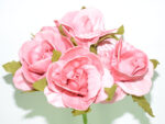 POMO ROSA ABIERTA *CAFE