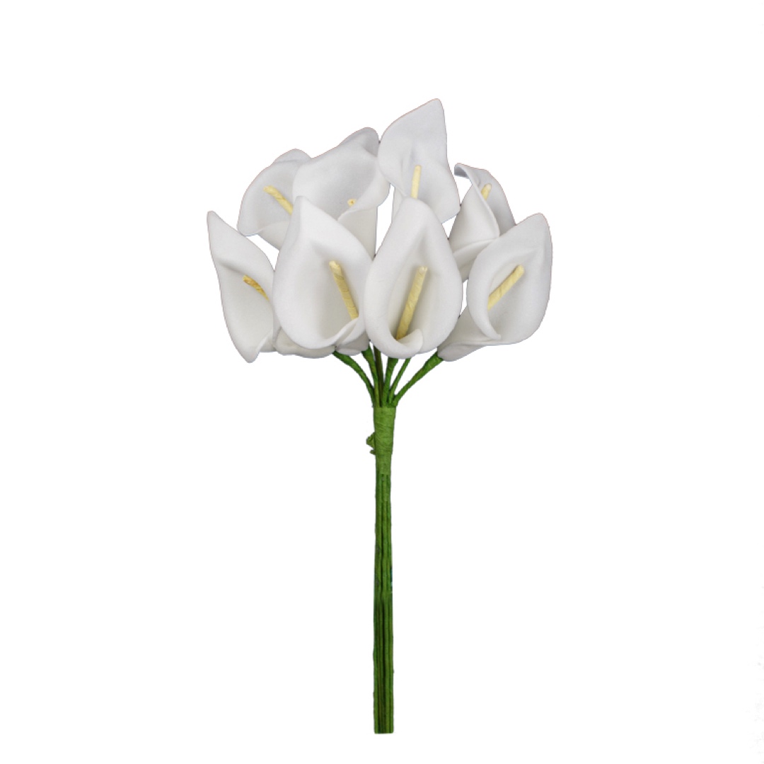 99018324.jpg CALA MINI X8