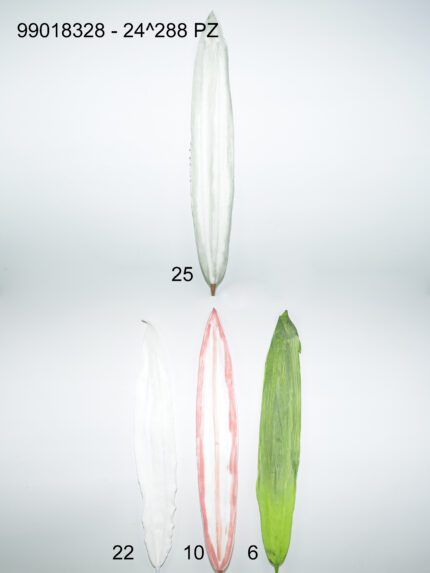 HOJA LARGA FOAN *VERDE CLARO*