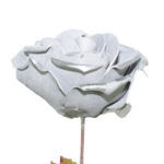 ROSA NATURAL CON HOJA *PLATA