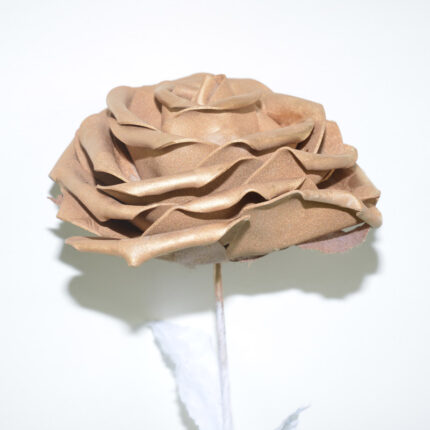 ROSA X1 *ORO