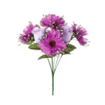 R. CAPULLO/GERBERA