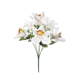 R. ORQUIDEA/LILIUM