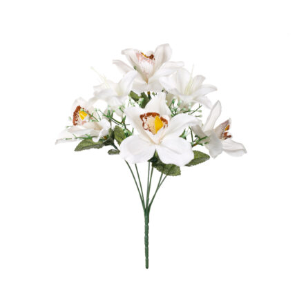 R. ORQUIDEA/LILIUM