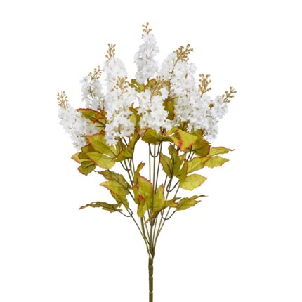 R.LILAS *FUXIA