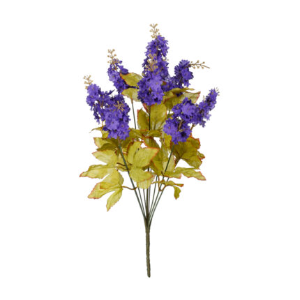 R.LILAS *FUXIA