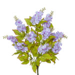 R.LILAS *FUXIA