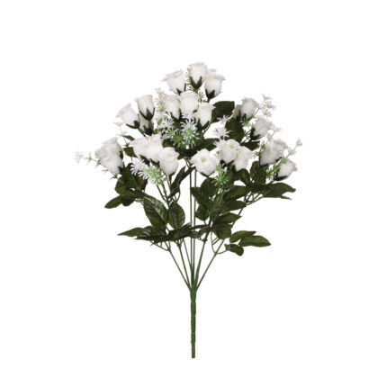 R.CAPULL.MINI RELL.FLOR