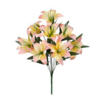 R.LILIUM *NARANJA