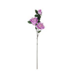 VARA ROSA Y CAPULLO