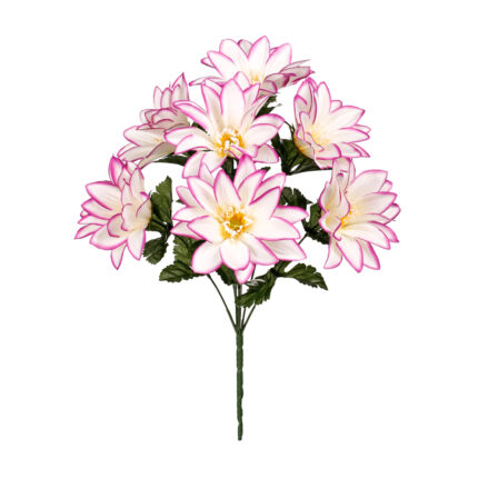 R.MARGARITA GIGANTE *FUXIA