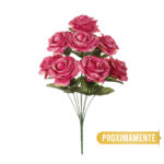 R.ROSAS REDONDAS *FUXIA
