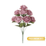 R.ROSAS REDONDAS *FUXIA