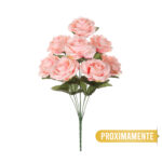 R.ROSAS REDONDAS *FUXIA