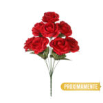 R.ROSAS REDONDAS *FUXIA