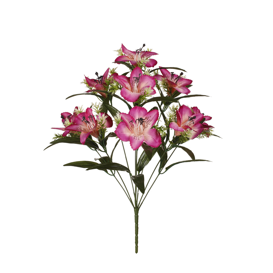 99023497.jpg R.ASTROMELIAS