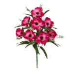 R.POPY *FUXIA