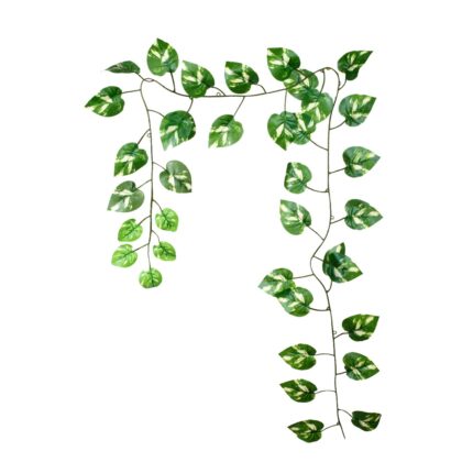 GUIRNALDA HOJA PHOTO