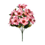 R.MAGNOLIA *FUXIA