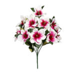 R.MAGNOLIA *FUXIA
