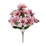 R.MAGNOLIA *FUXIA