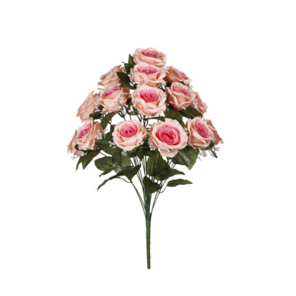 R.ROSA GORDA