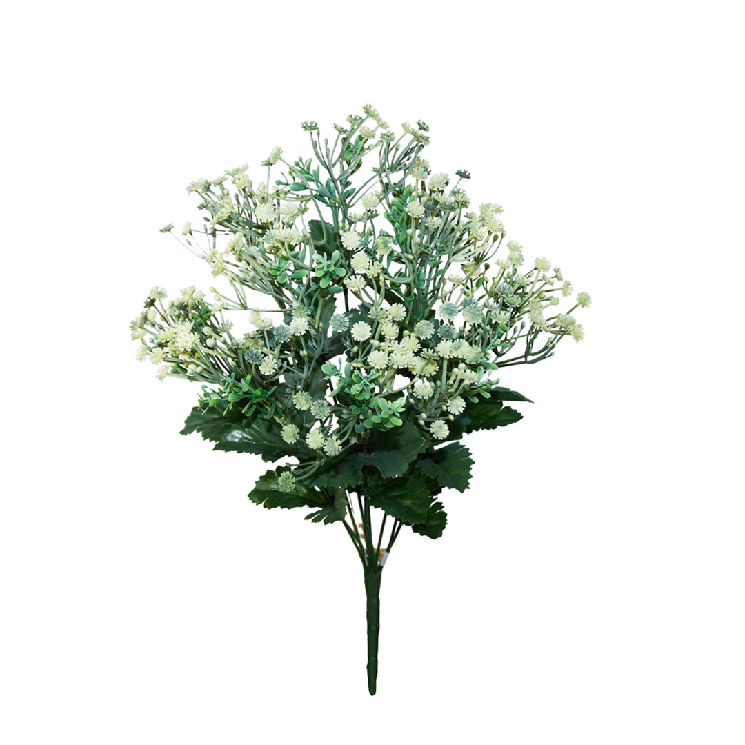 99023577-0.jpg R.GYPSOPHILA