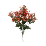 R.GYPSOPHILA