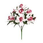 R.ORQUIDEA *FUXIA
