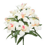 R.ORQUIDEA *FUXIA