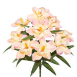 R.ORQUIDEA *FUXIA