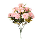 R.CRISANTEMUS *FUXIA