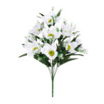 R.AMAPOLA