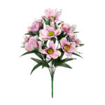 R.AMAPOLA