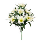 R.AMAPOLA