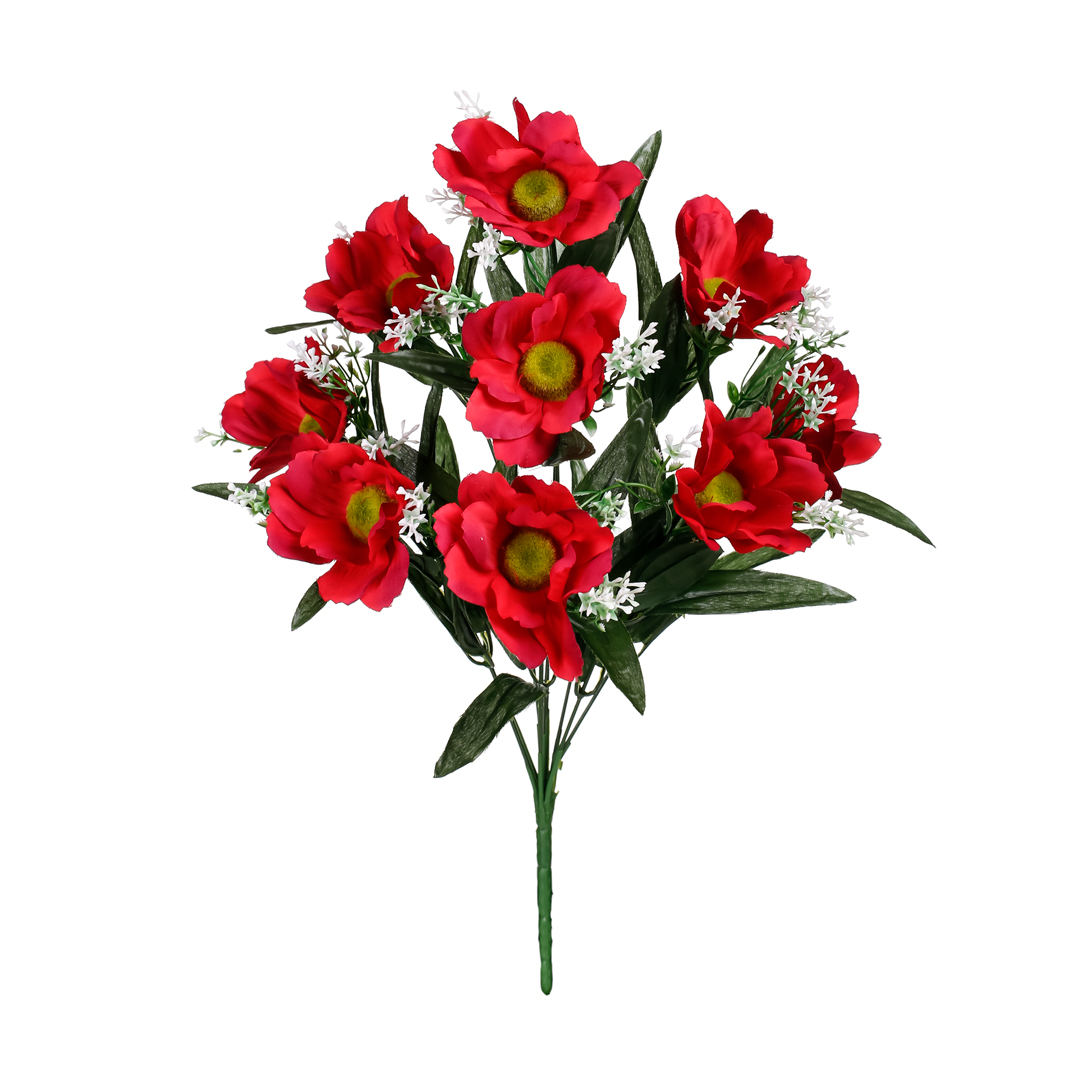 99023598.jpg R.AMAPOLA