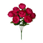 R.PEONIA *FUXIA
