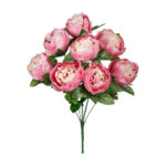 R.PEONIA *FUXIA