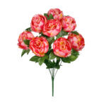 R.PEONIA *FUXIA