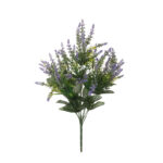 R.LAVANDA