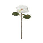 VARA MANGOLIA GRANDE