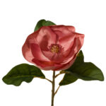 VARA MANGOLIA GRANDE