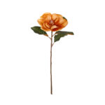 VARA MANGOLIA GRANDE