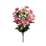 R.CROCUS MARGARITAS *FUXIA