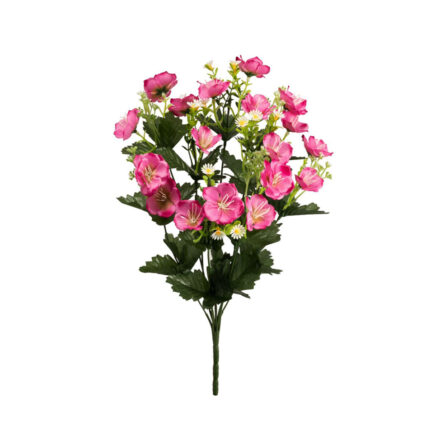 R.CROCUS MARGARITAS *FUXIA