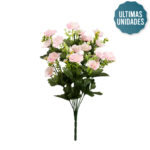 R.CROCUS MARGARITAS *ROSA