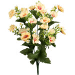 R.CROCUS MARGARITAS *SALMON