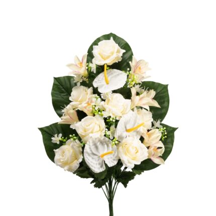 R.ENC.PHOTO/ANTH/ROS