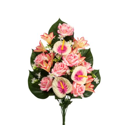 R.ENC.PHOTO/ANTH/ROS